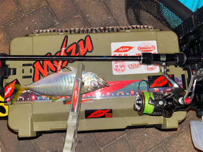 ロングロッドでジグ単