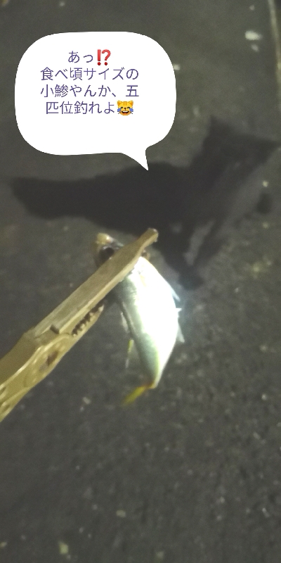 アジング練習 327