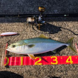 初の波止やのに…