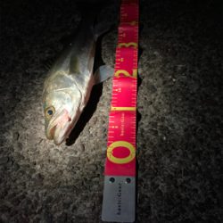 3ヒット1キャッチの敗北