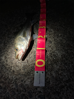 3ヒット1キャッチの敗北