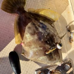 イカとハゲのリレー釣り