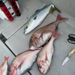 丹後沖タイラバ