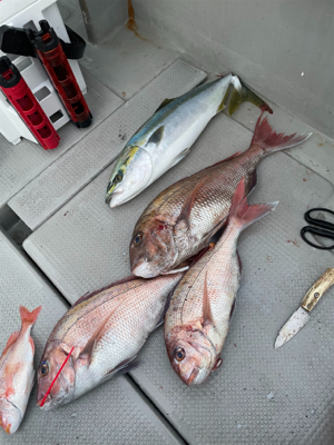 丹後沖タイラバ