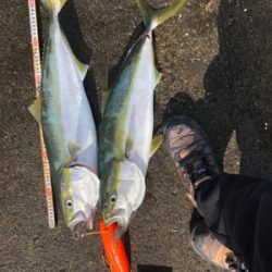 3連勝3連続マルチ安打