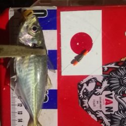 アジング練習328　スプリットシンカー