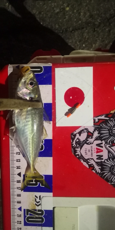 アジング練習328　スプリットシンカー