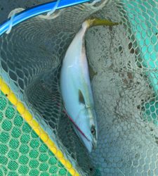 反省点の多い日