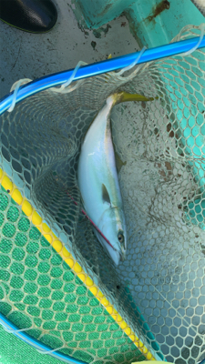 反省点の多い日