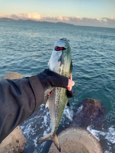 旅行先でショアジギ