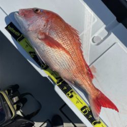 丹後沖　タイラバドジギング