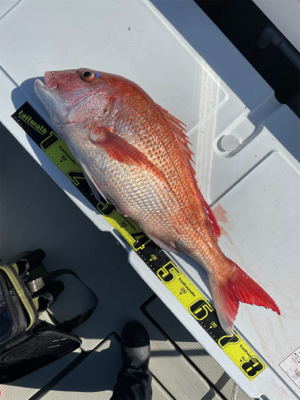 丹後沖　タイラバドジギング