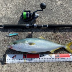 ショアジギング