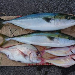 初オフショア釣行