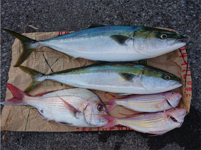 初オフショア釣行