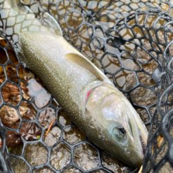 今シーズンラストの管釣り
