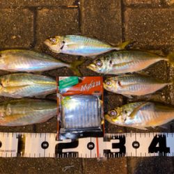 シャローフリークでドリフト