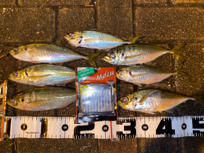 シャローフリークでドリフト