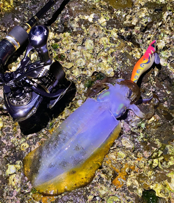 ガイドエギング