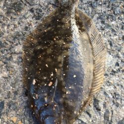 子供と小物釣り