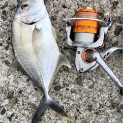 仕事帰りのライトゲーム