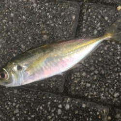 爆風と大雨の中