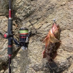 久しぶりの釣行