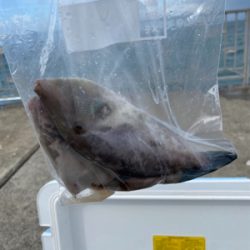 爆風のショアジギ失敗