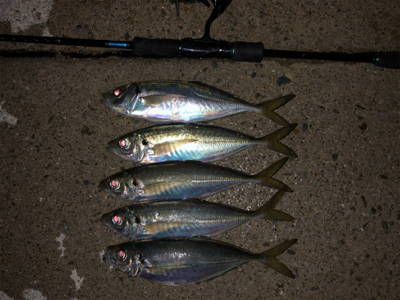 フロートアジング