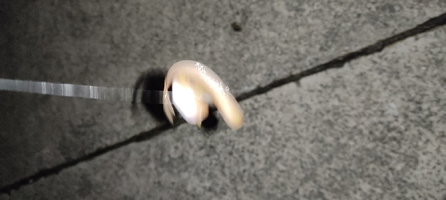 虫ヘッドで探り釣り