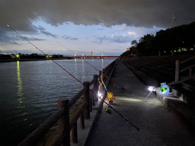 カレイ、カワハギ釣り