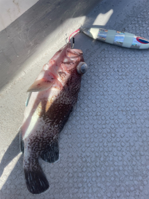 丹後沖中深海ジギング