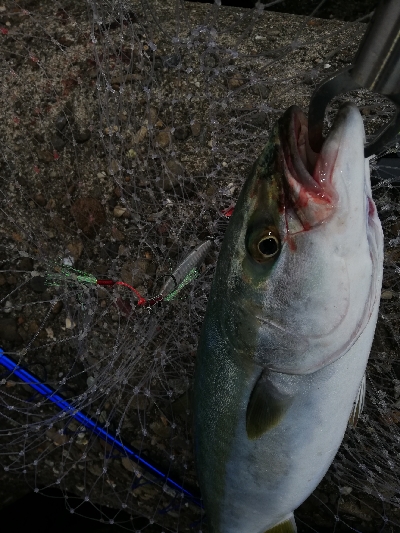 ショアジギング