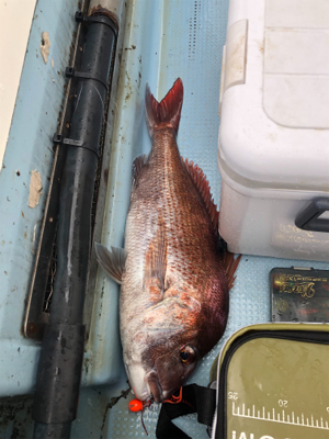 明石沖にてタイラバ