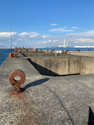 久しぶりの沖堤防