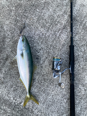 無反応シラスパターン