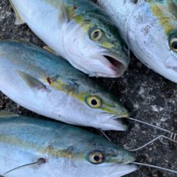 気まぐれ釣行で無事爆発！