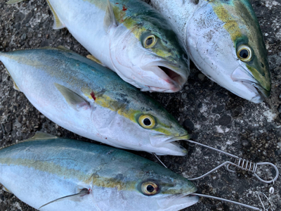 気まぐれ釣行で無事爆発！