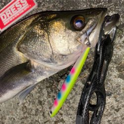 渋くてもなんとか一本！