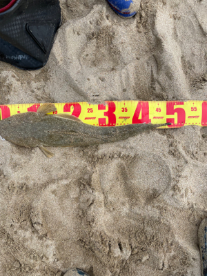 キス狙いの外道