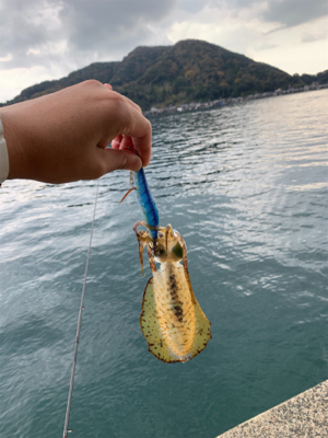 1泊2日宮津エギング 2日目