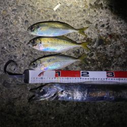 アジングリベンジ❗þ…