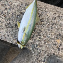 ショアジギング