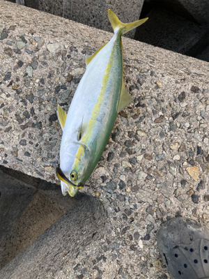 ショアジギング