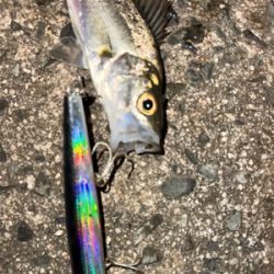 チーバスくん！