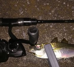 皆既月食アジング