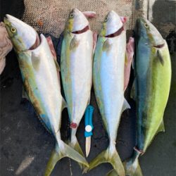 今秋初ジギング