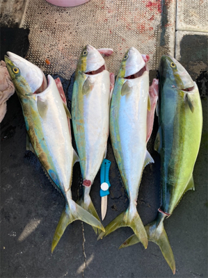 今秋初ジギング