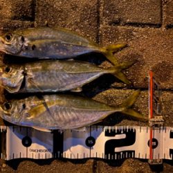 宵姫爽S78M鱗付け