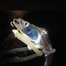 寒くなってきた